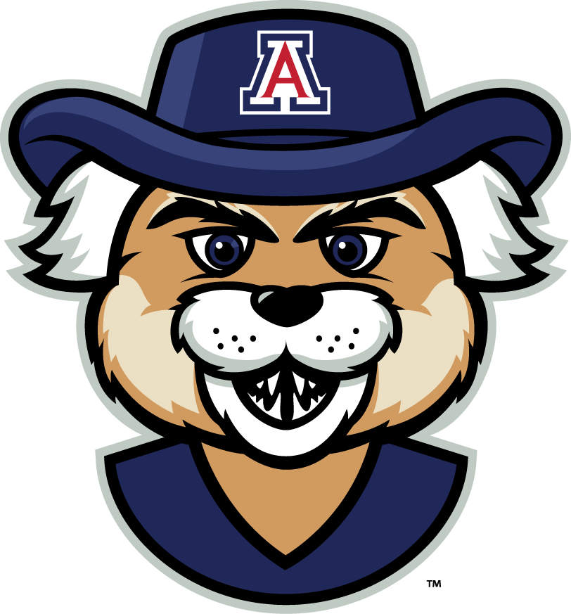 Arizona Wildcats 2013-Pres Mascot Logo v5 DIY iron on transfer (heat transfer)